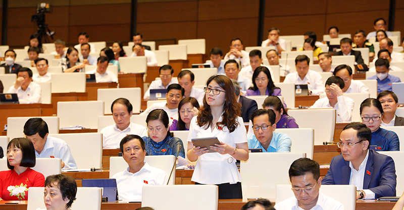 qh-sang1-613-1654052391215.jpg