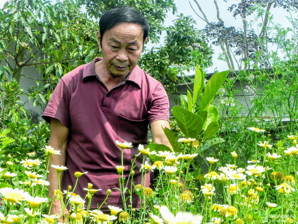 minh-chau-dienchaau-the-thang-7889.png