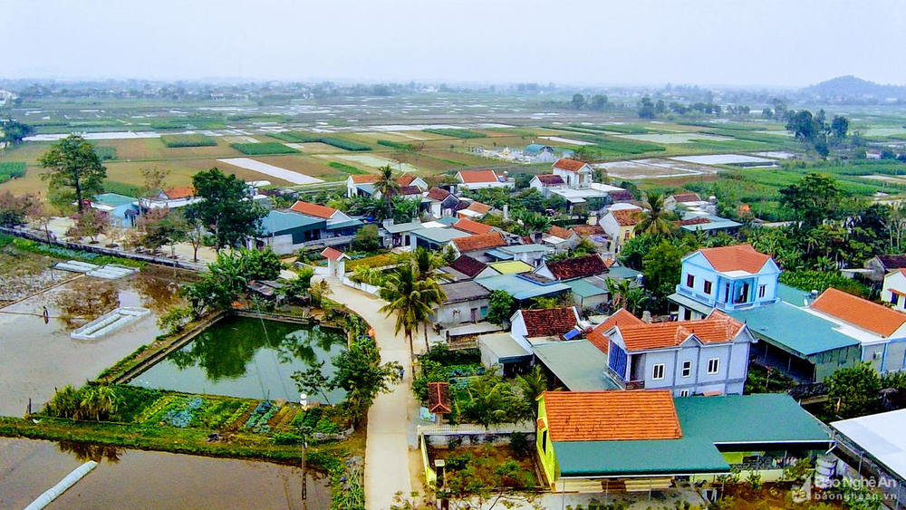 ntm-dien-truong-dien-chau-3097.png