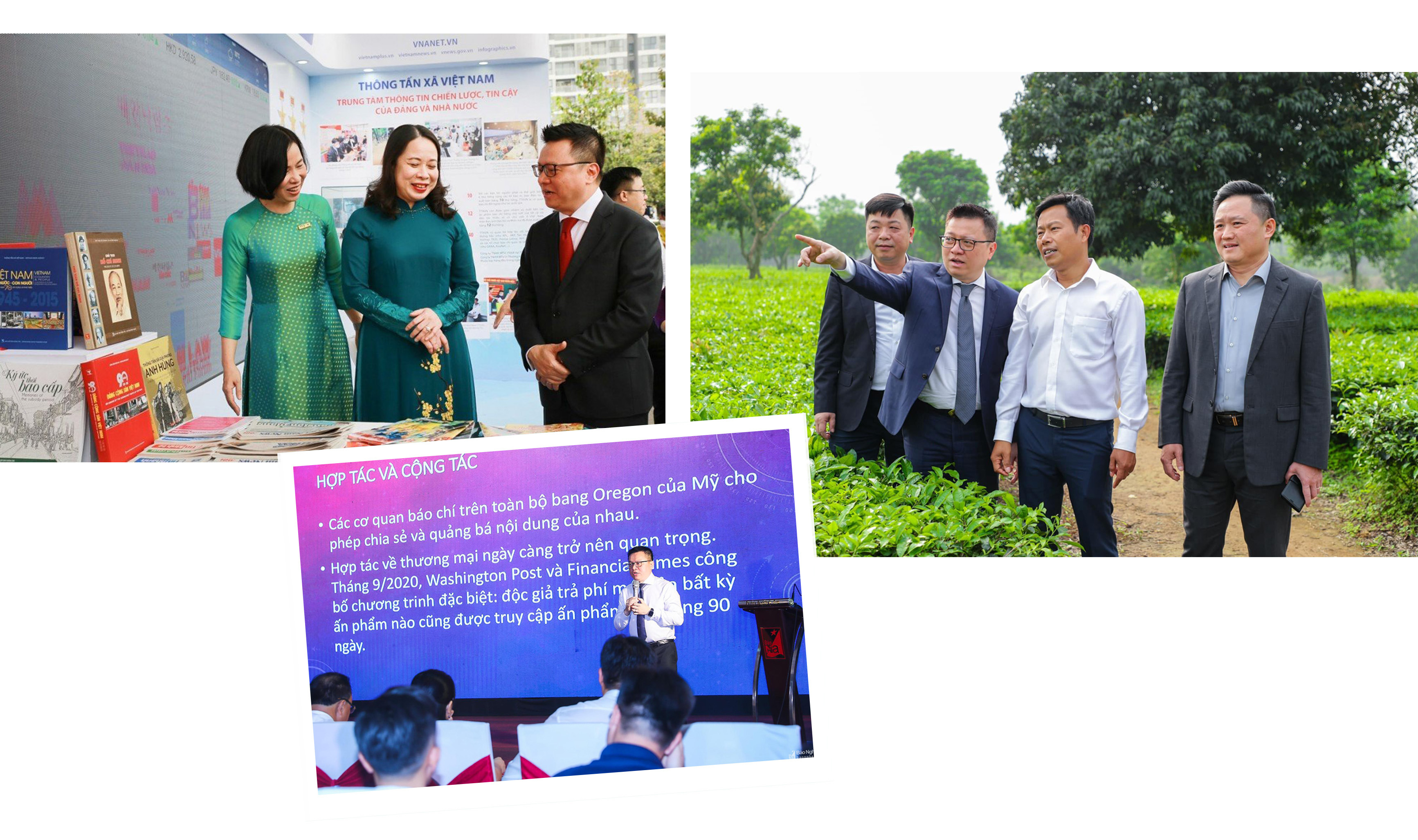 lam-bao-la-nghe-khong-dem-lai-su-giau-co-140941_28.jpg
