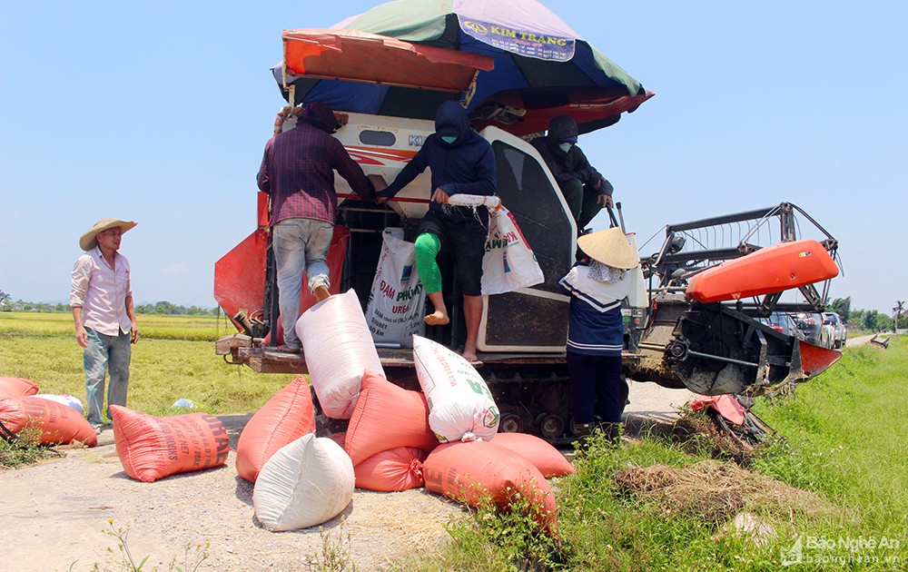 bna_hn_anh_phu_huong9347665_27122021.jpg