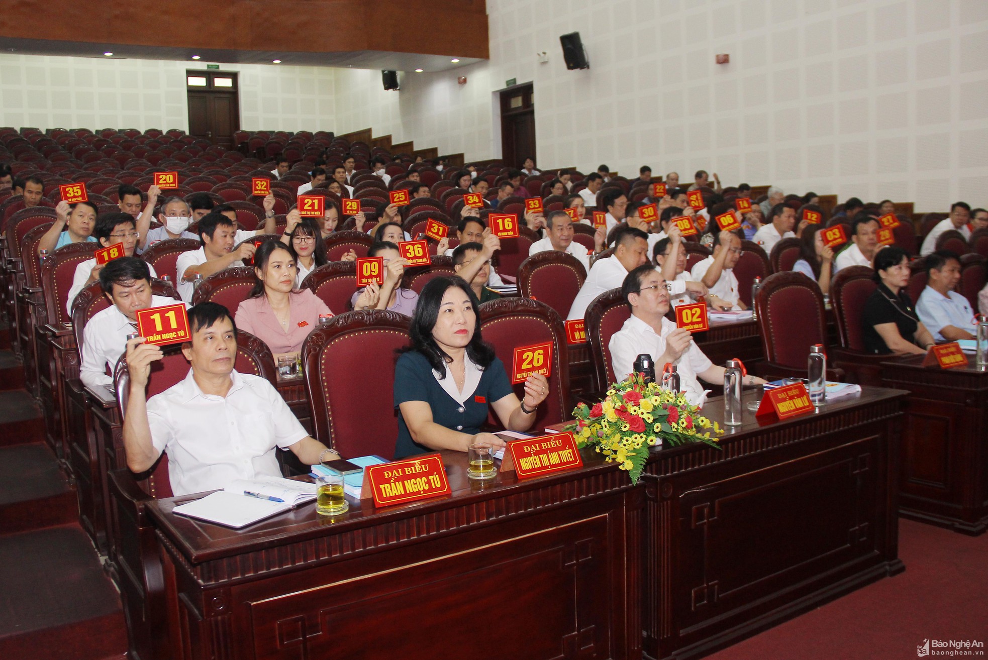 bna-mai-hoa-2-7816--n1.jpg