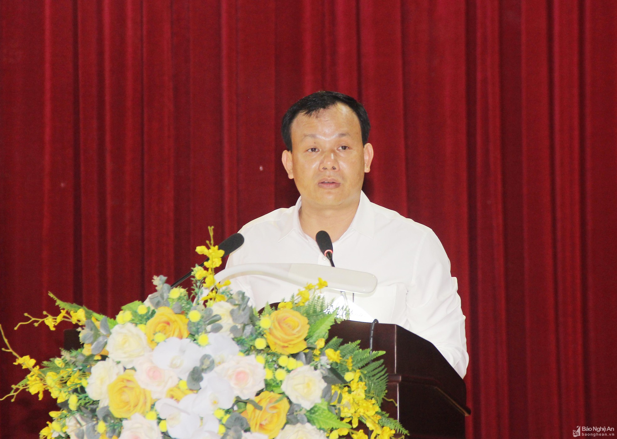 bna-mai-hoa-7-564.jpg