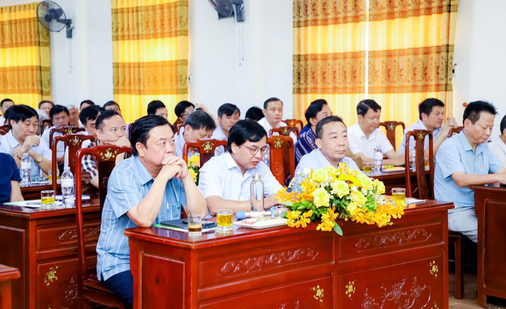 dai-bieu-2.jpg
