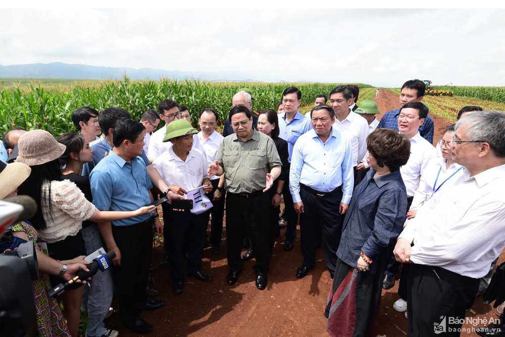 bna-thu-tuong-683--n1.jpg