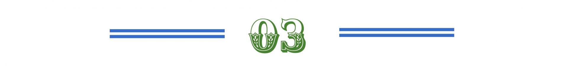 st6-1.jpg