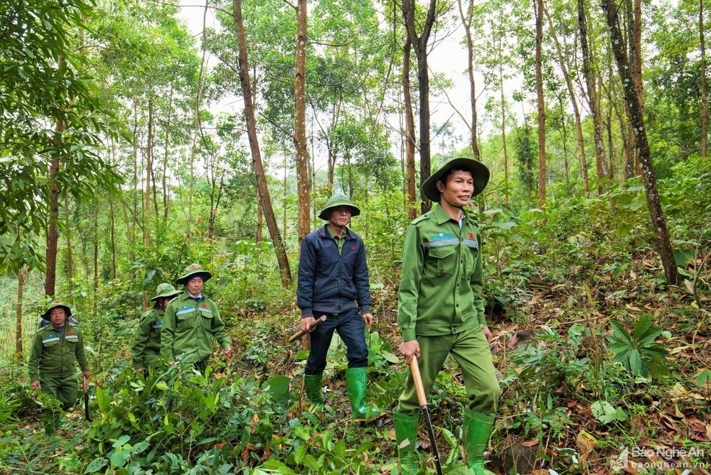 cong-tac-bao-ve-rung-la-nhiem-vu-rat-nang-ne-kho-khan-tuy-nhien-kinh-phi-bao-ve-rung-nam-2022-chua-duoc-cap.jpg
