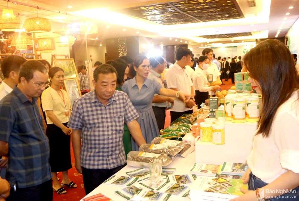 Kết nối, xúc tiến đầu tư nông nghiệp giữa Nghệ An và Nhật Bản