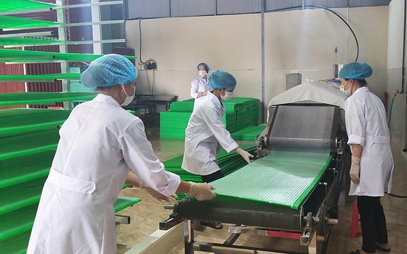 san-xuat-banh-da-nem-tai-htx-dich-vu-san-xuat-nong-nghiep-va-co-khi-xuan-tien-xuan-truong-nam-dinh-copy-8869.jpg