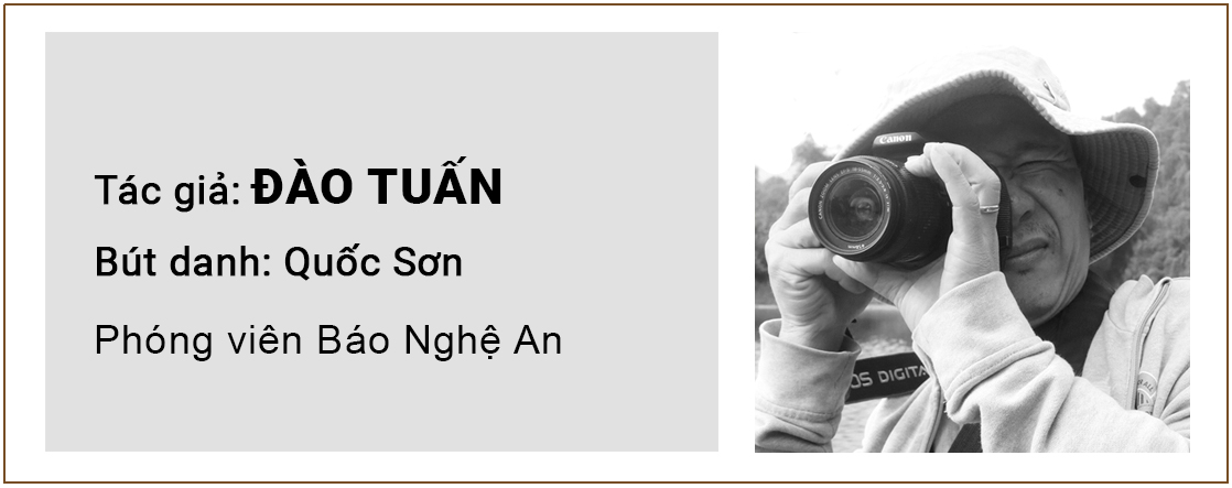 tacgiasuyngam-daotuan.jpg