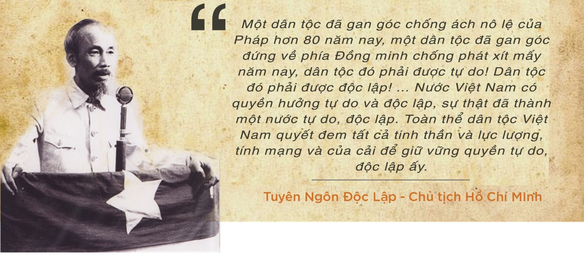 tndl2.jpg