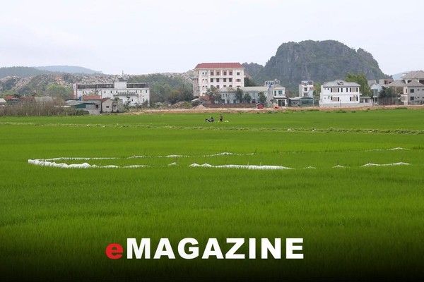 Được gia hạn 24 tháng, Vicem Hoàng Mai có hoàn thành dự án đô thị?