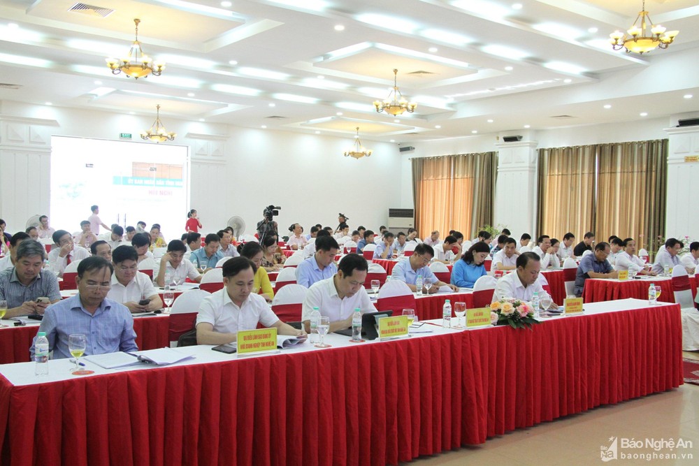 bna-0-9082.jpg