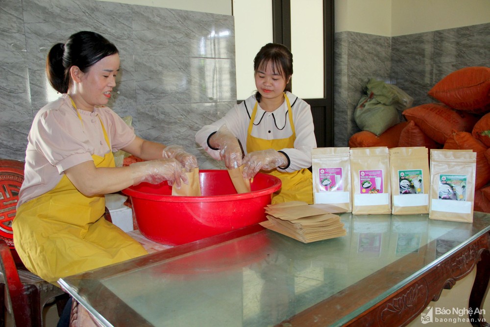 bna-htx-nong-nghiep-xanh-dai-hue-huyen-nam-dan-dong-goi-san-pham-de-dua-ra-thi-truong-anh-quang-an-204.jpg