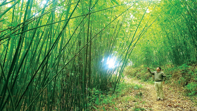 co-chinh-a2-1663803256770--n1.jpg