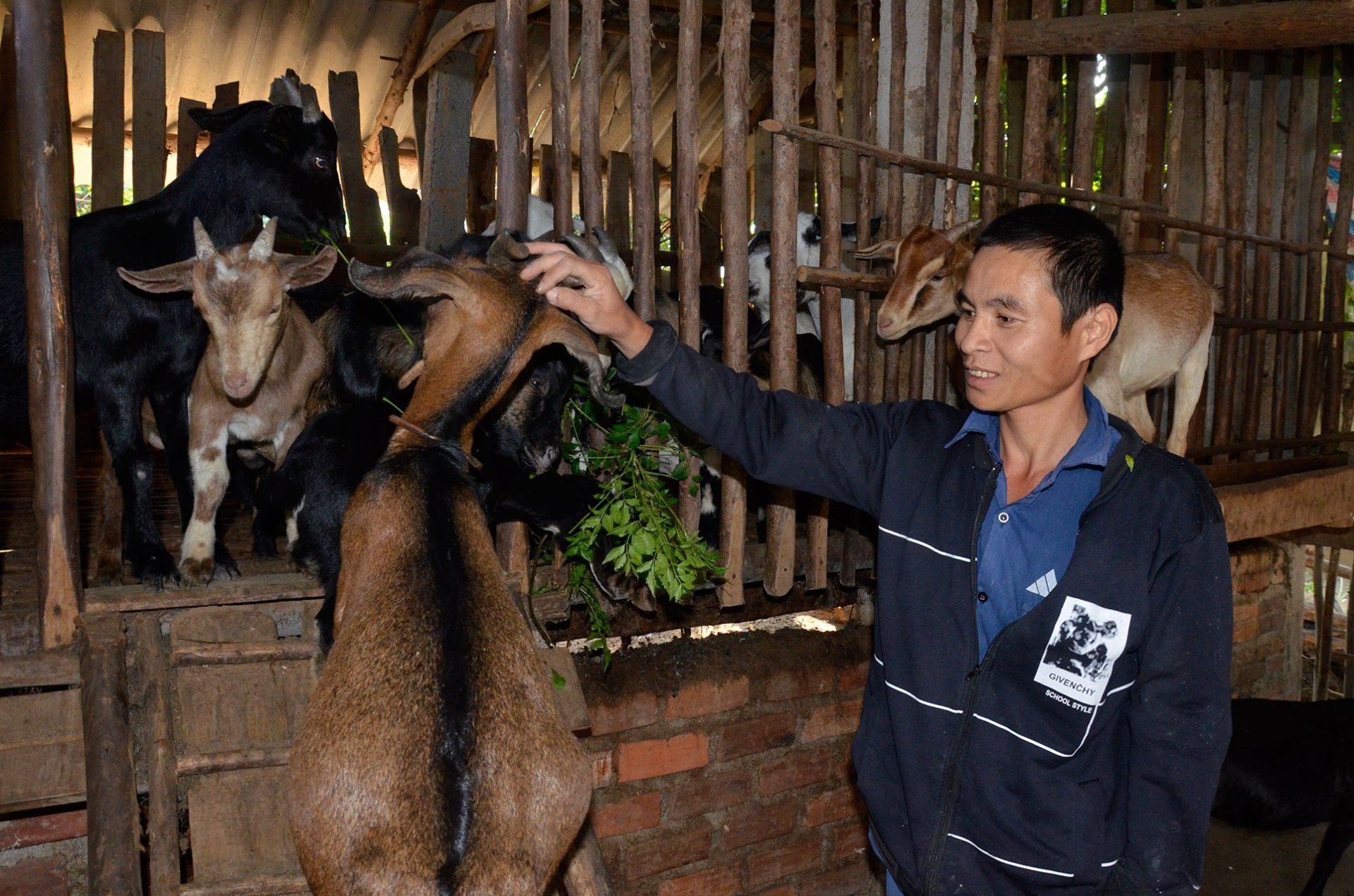 tu-nguon-von-quy-htnd-giup-nong-dan-nghia-dan-phat-trien-chan-nuoi-phat-trien-kinh-te.jpg