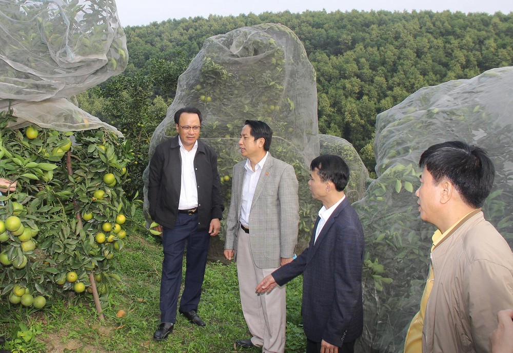 dc-nguyen-nam-dinh-pho-ct-tt-hdnd-tinh-tim-hieu-chinh-sach-dau-tu-phat-trien-nong-nghiep-tai-huyen-thanh-chuong-3036.jpg