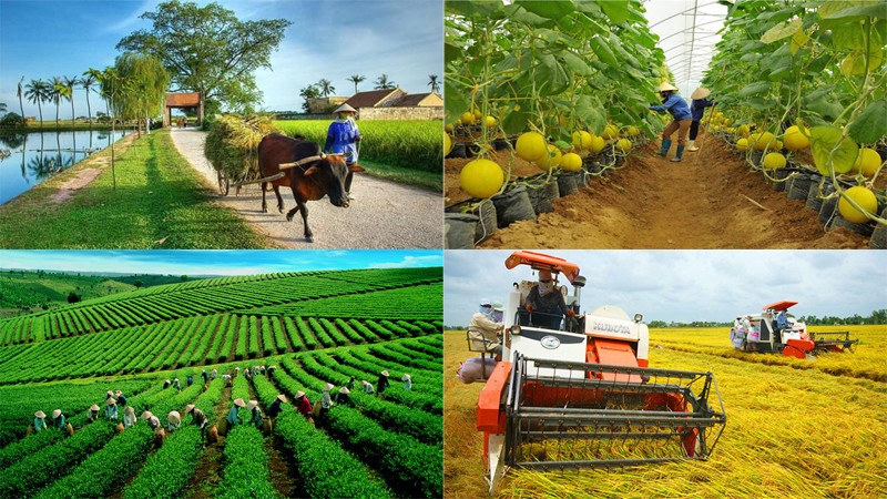 Nâng cao vai trò, năng lực làm chủ của nông dân