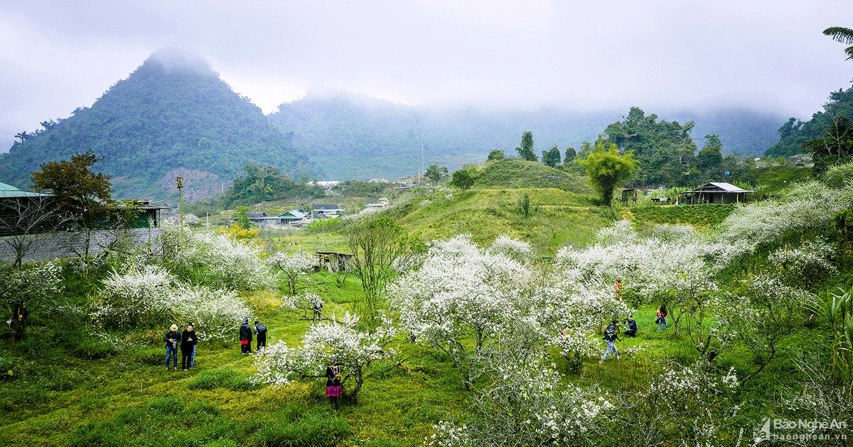 Những điểm du Xuân thú vị ở Nghệ An