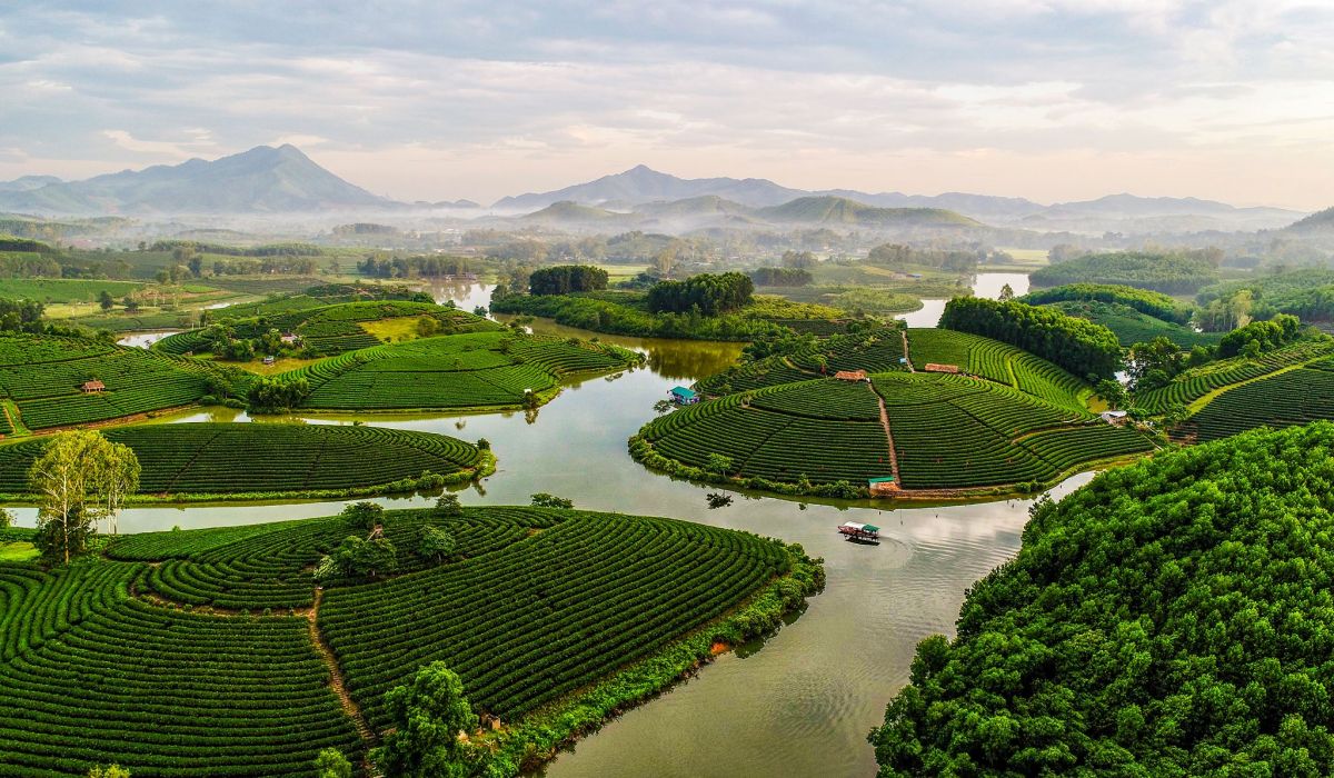 79_doi_che_thanh_chuong_hut_hon_gioi_tre.jpg