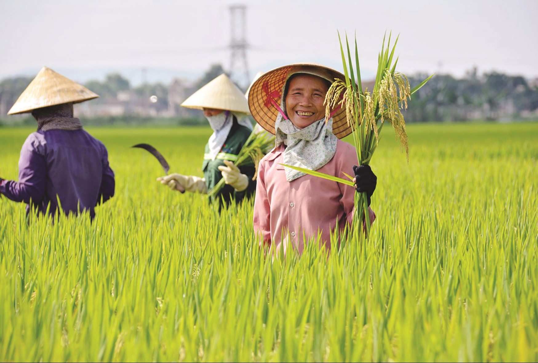 nguoi-nong-dan.jpg