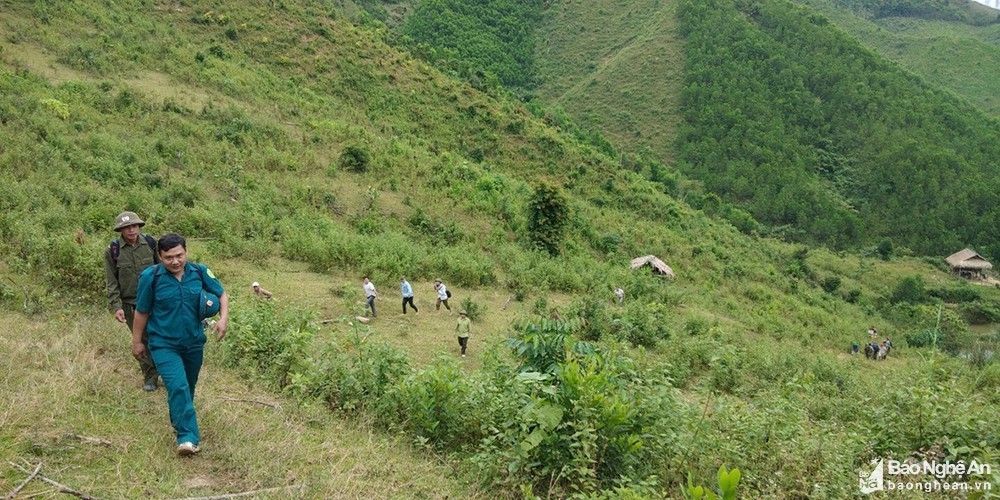 so-tai-nguyen-va-moi-truong-tap-trung-xay-dung-phuong-an-phan-bo-va-khoanh-vung-dat-dai-cap-tinh-trong-quy-hoach-tinh-nghe-an-anh-tu-lieu-mai-hoa-7084.jpg