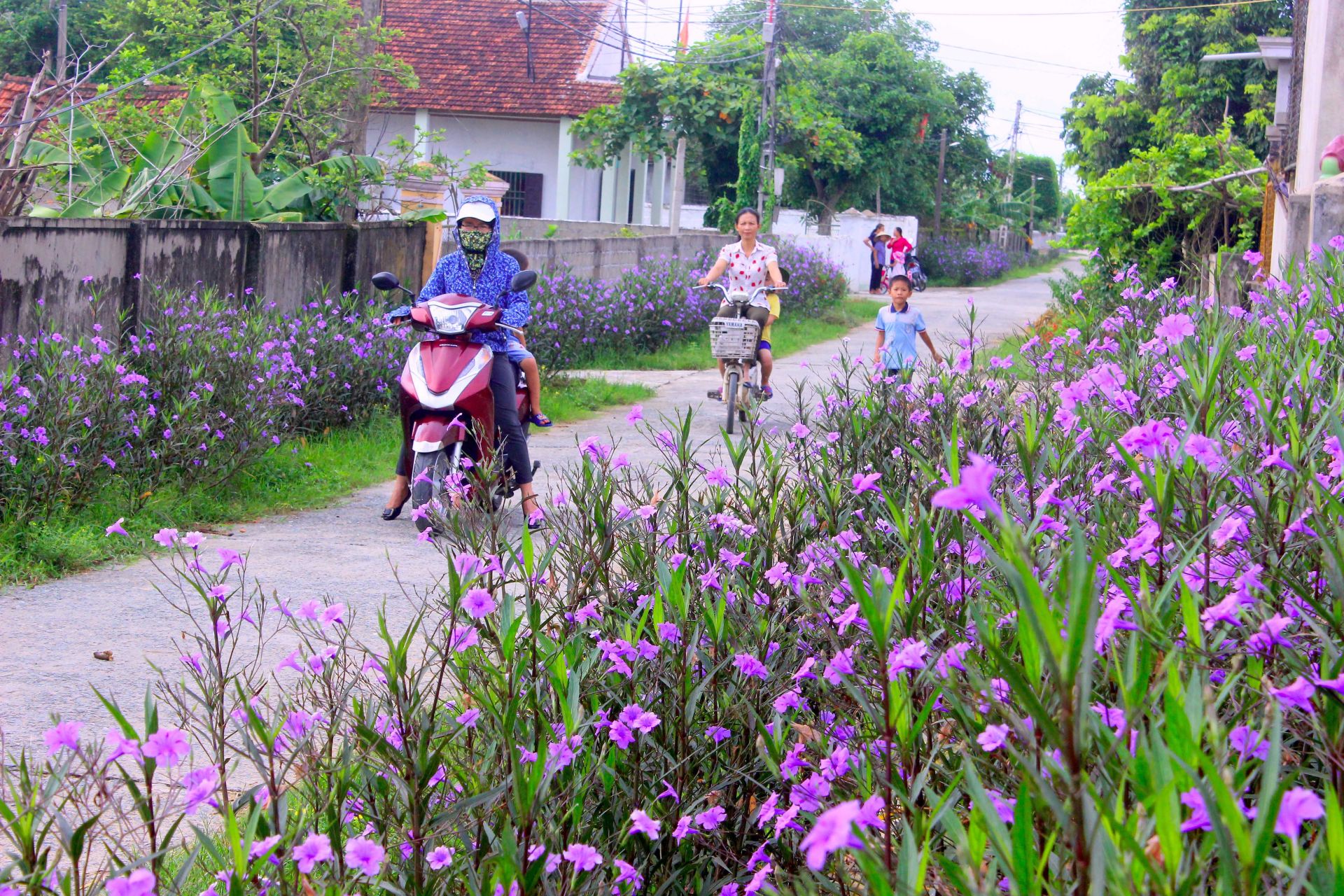 nhieu-ia-phuong-trong-cac-tuyen-uong-hoa-lam-xanh-sach-ep-moi-truong.jpg