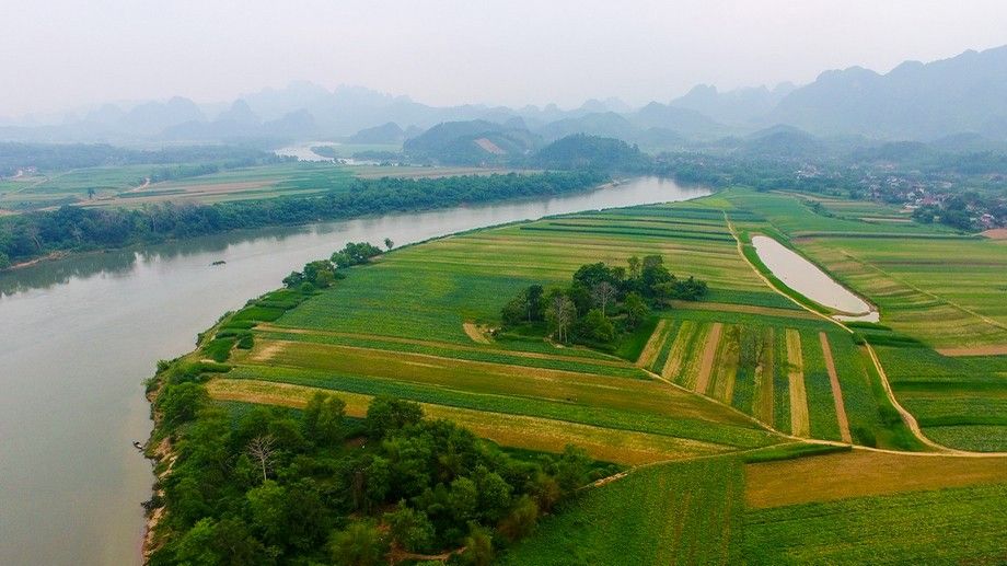 Thơ Xuân của các chí sĩ yêu nước xứ Nghệ