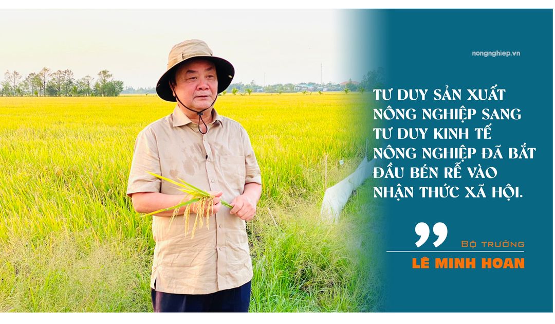 diem-sang-nganh-nong-nghiep-thoat-tu-duy-mua-vu-thuong-vu-153602_266.jpg