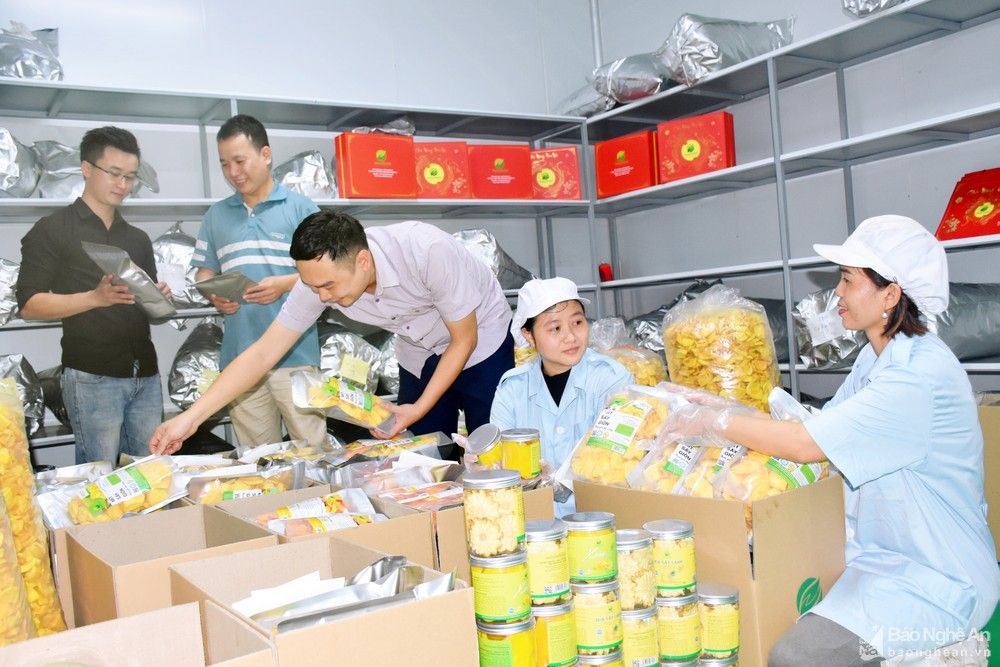 bna-day-chuyen-san-xuat-hoa-qua-say-cua-cong-ty-co-phan-hasafood-nghe-an-26--n1.jpg