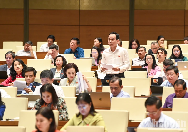 ndo_br_nguyen-duy-minh-da-nang-4695.jpg.webp