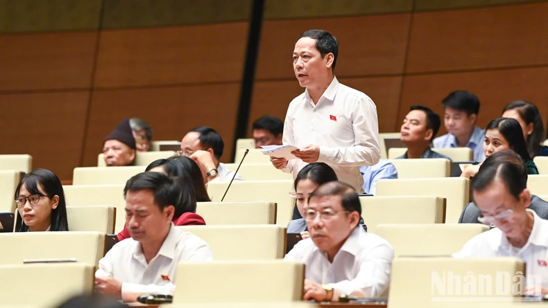 ndo_br_tran-nhat-minh-nghe-an-6279.jpg.webp