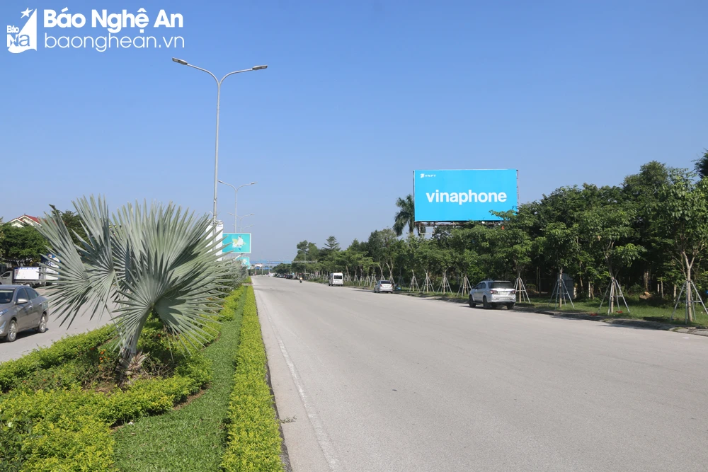 bna-cay-xanh-tren-duong-ra-san-bay-vinh-9585.jpg.webp