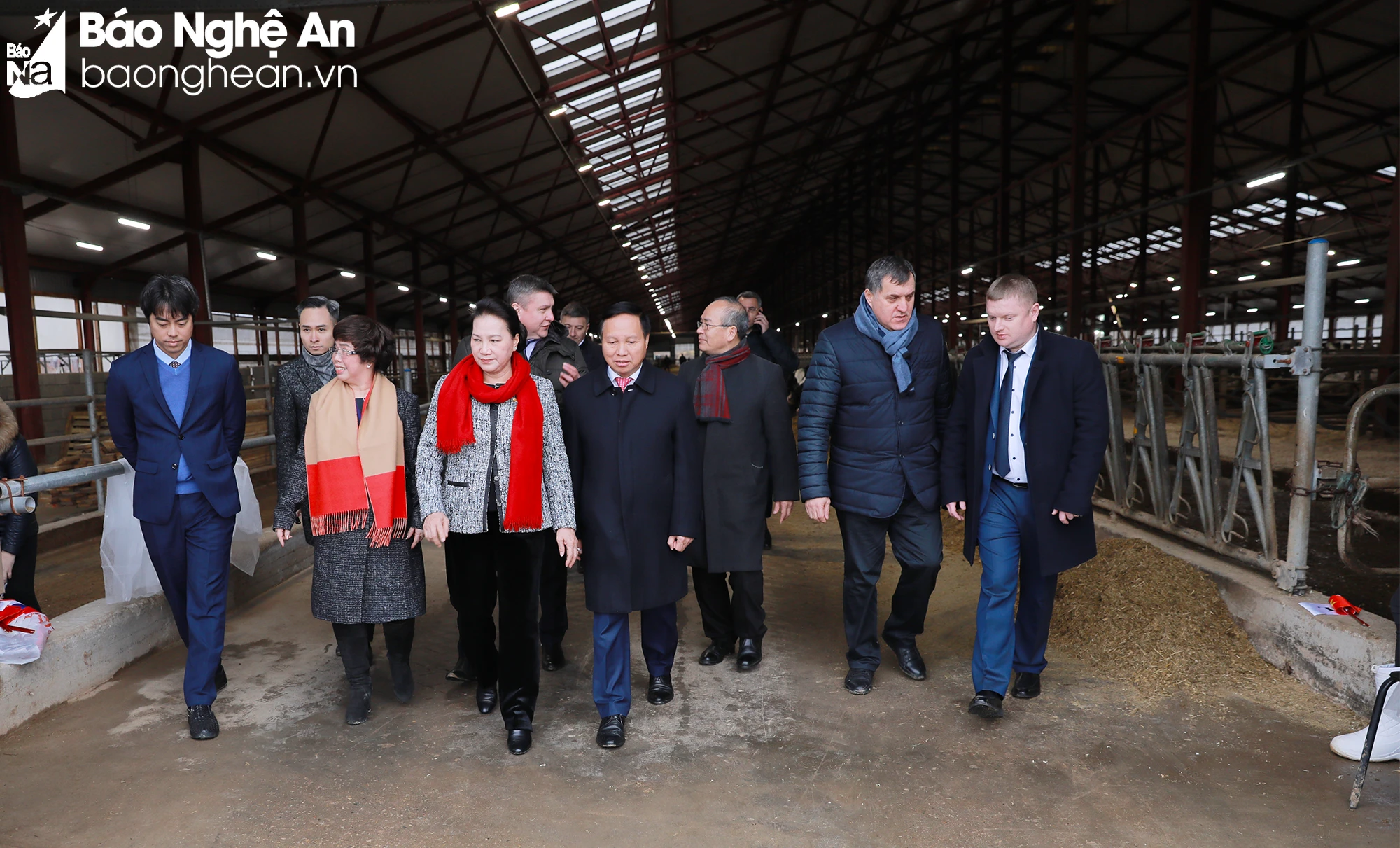 bna-nga-anh-th-7049.jpg.webp