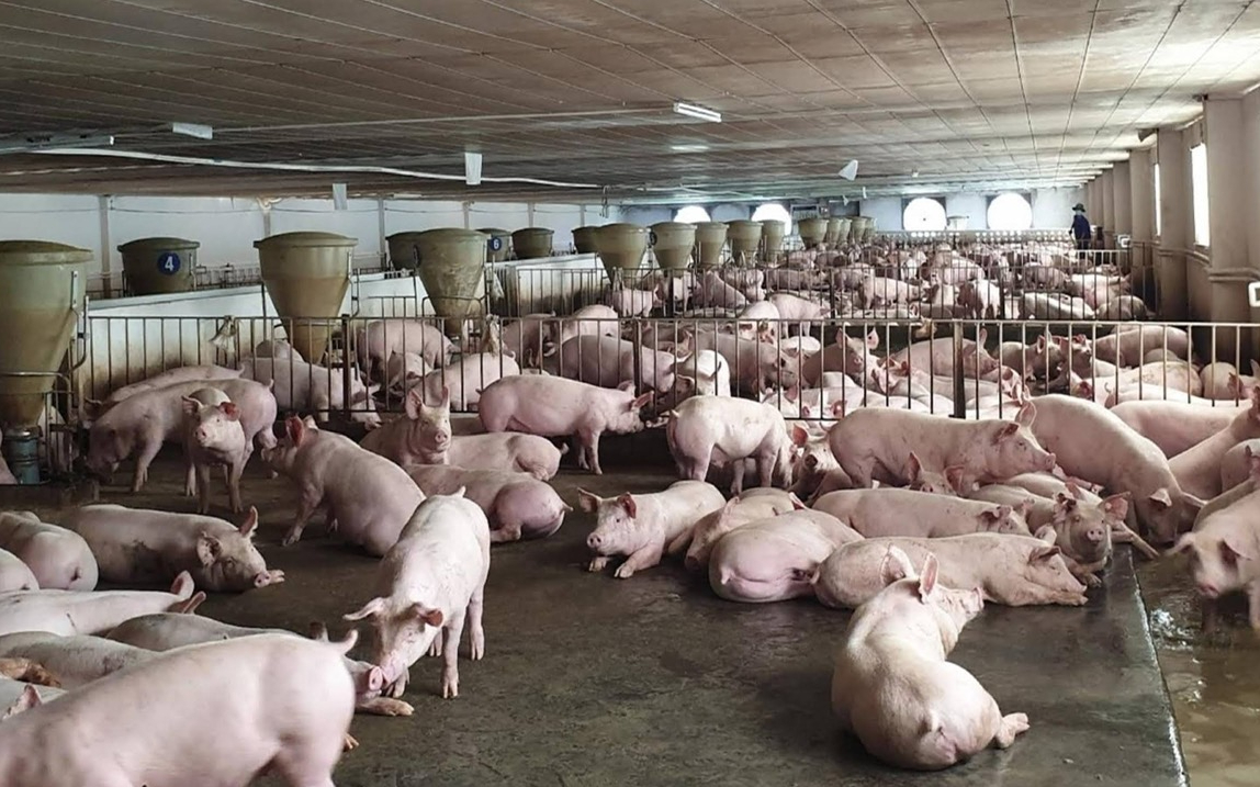 Sở Tài nguyên và Môi trường trả lời cử tri Trần Xuân Lý, xã Thanh Xuân, huyện Thanh Chương về việc trang trại nuôi lợn ở xã Thanh Xuân gây ô nhiễm nguồn nước