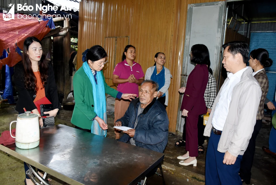 bna-5-2986.jpg.webp