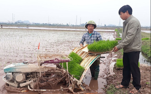 Sở Nông nghiệp và Phát triển nông thôn trả lời cử tri Nguyễn Hữu Bình, xóm Liêu Tiêu, xã Lưu Sơn, huyện Đô Lương về chính sách hỗ trợ nông dân mua máy cày, máy gặt và trợ giá giống