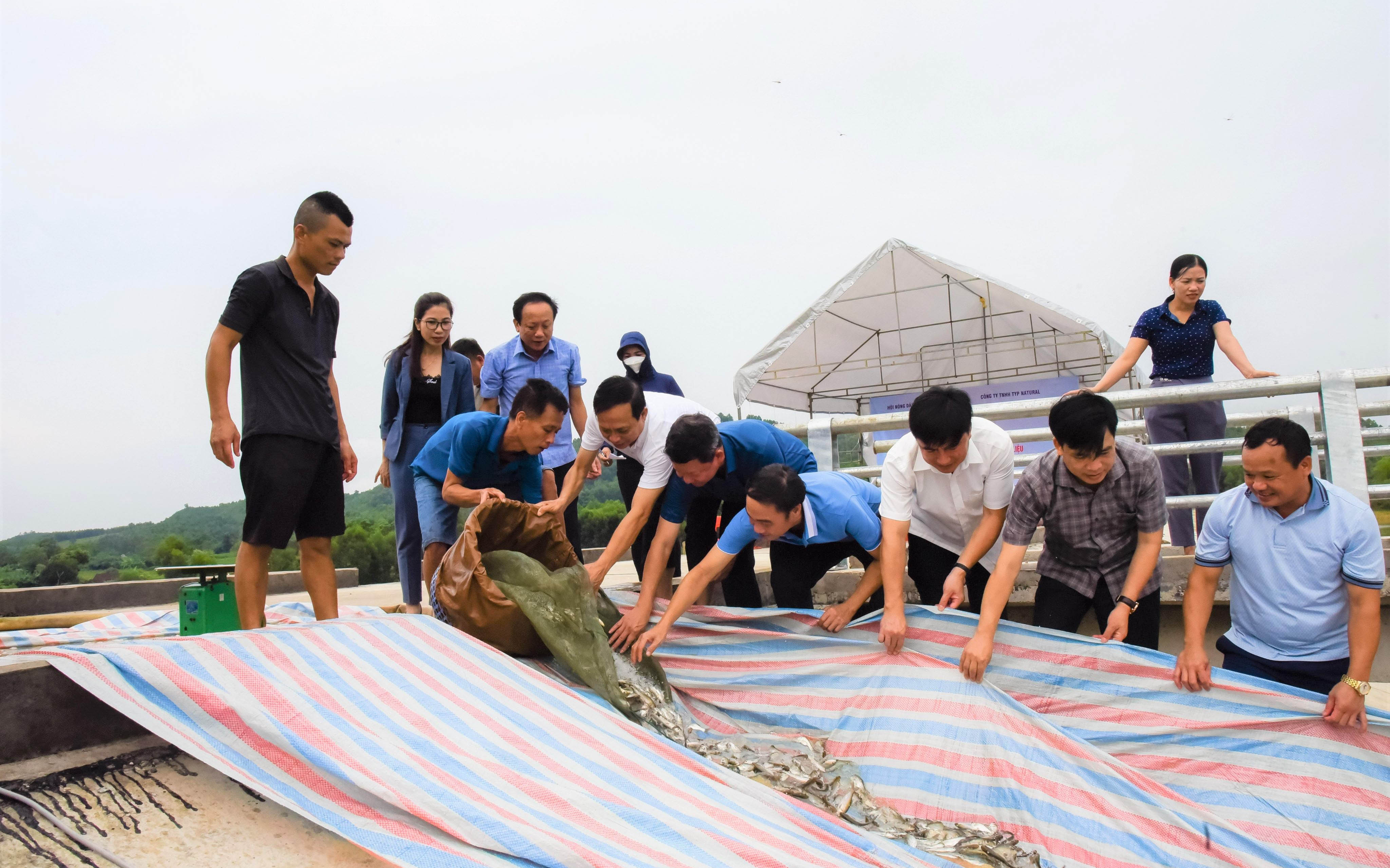 Tạo sinh kế bền vững ở vùng đồng bào dân tộc thiểu số