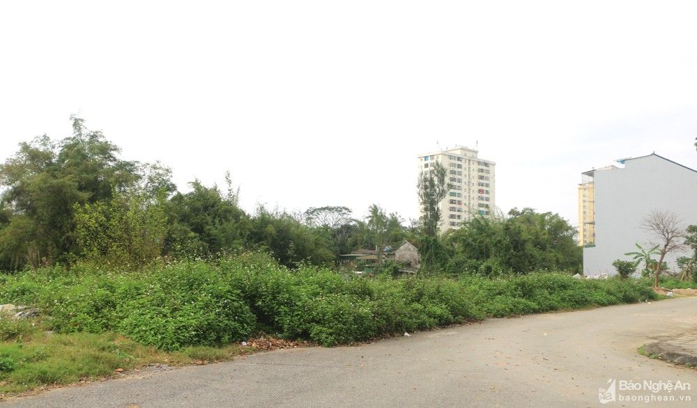 bna-tu-du-an-do-thi-moi-nhin-sang-5185--n1.jpg