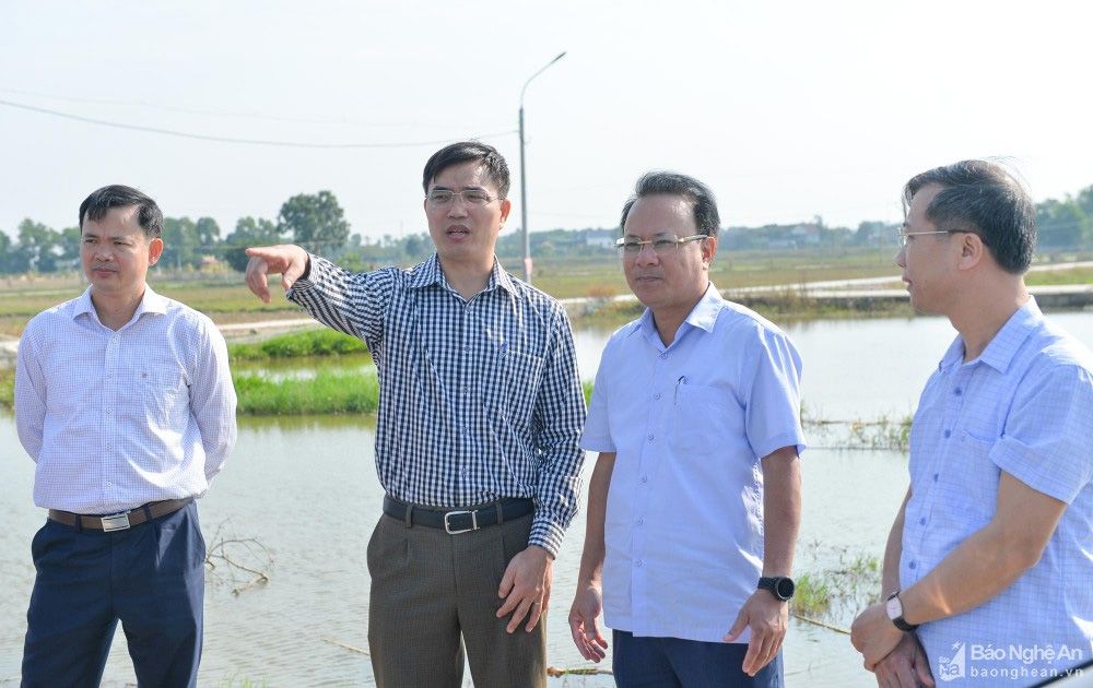 nghe-an-3-1676215969820.jpg