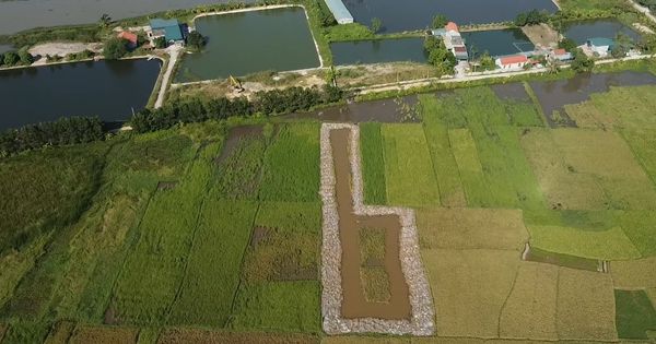 Luật hoá quy định liên quan đến chế độ sử dụng đất có mặt nước là ao, hồ, đầm