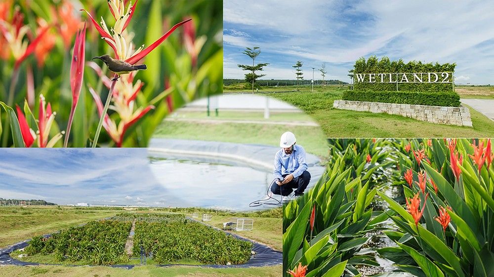 khu-cong-nghiep-wha-industrial-zone-1-nghe-an-duoc-xay-dung-theo-mo-hinh-kcn-xanh-ap-dung-cong-nghe-sinh-hoc-trong-xu-ly-nuoc-thai-2802.jpg