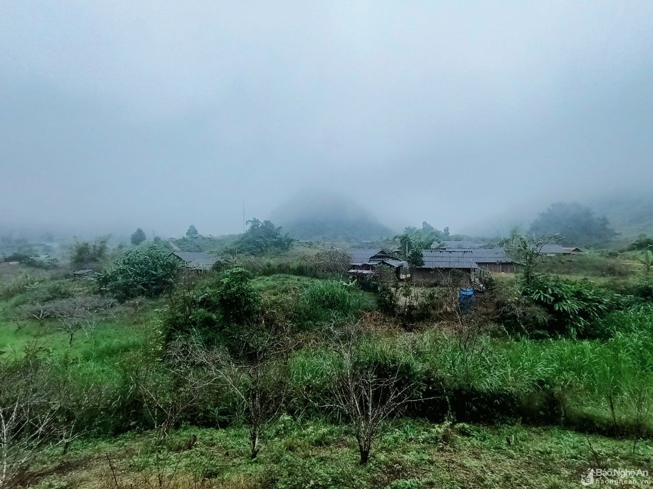 bna_muong_long2564165_9112021.jpg
