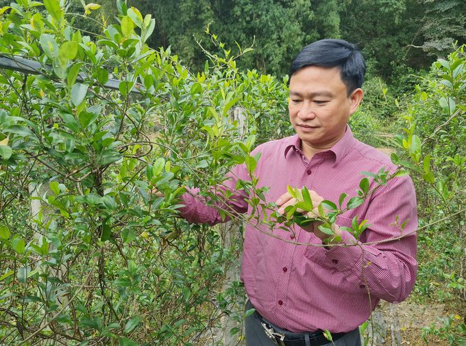 watermark_mac-dien-nguoi-uom-mam-duoc-lieu-xu-nghe-1130_20230102_106-171652.jpg