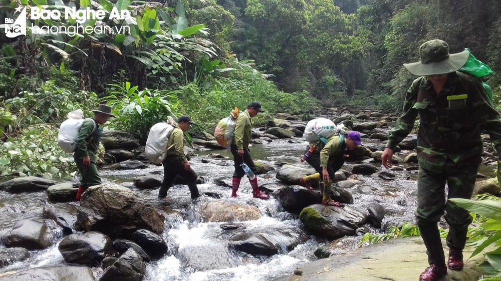 Tăng cường công tác quản lý, bảo vệ và phát triển rừng