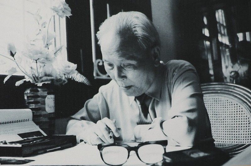 hinh-anh-ai-tuong-chu-huy-man---vi-tuong-hai-manh.jpg