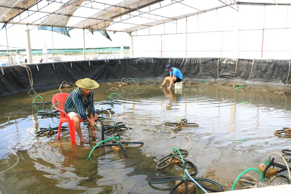 chuyen-doi-so-3-2023-02-23-14-29.jpg