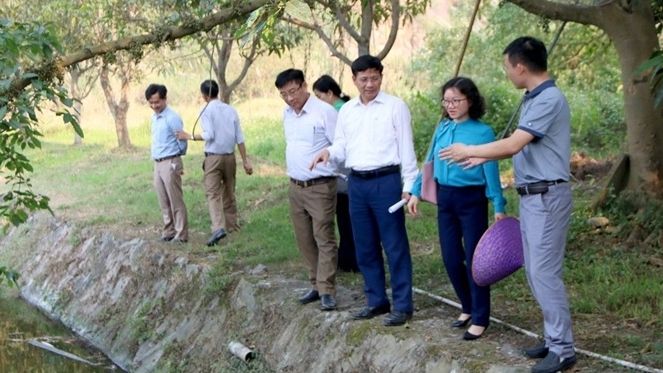 doan-giam-sat-hdnd-tinh-nghe-an-1680133270810.jpg