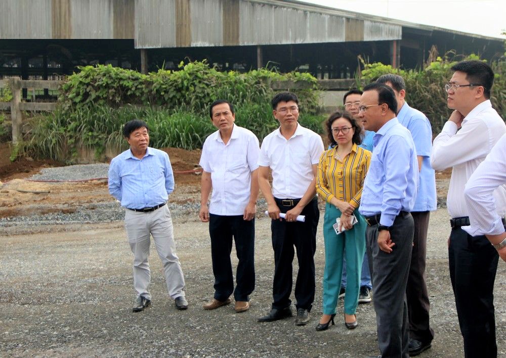 bna-kiem-tra-2009-copy.jpg