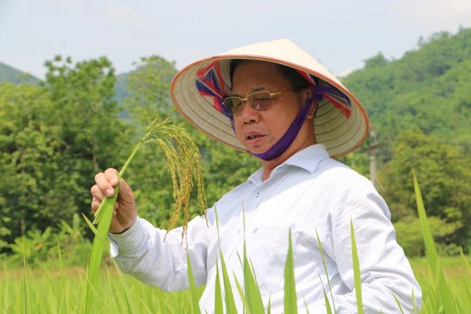 toi-la-boc-truc-tao-bao-va-thich-pha-cach-203144_20201118_549-104245_249.jpg